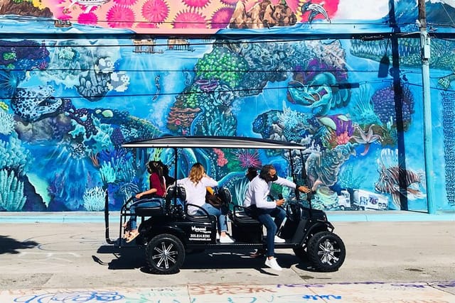 Wynwood Graffiti Golf Cart Tour stop at MSG Crew Mural